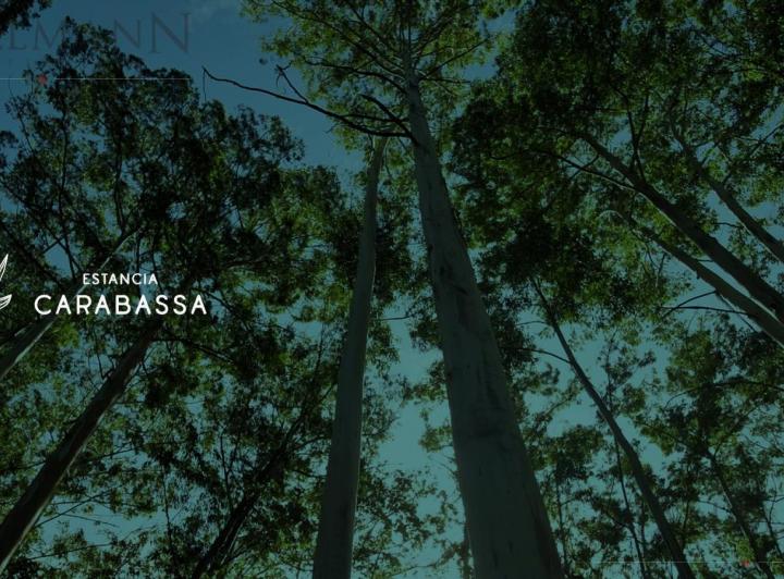 Desarrollo horizontal · Estancia Carabassa | Mallmann Propiedades