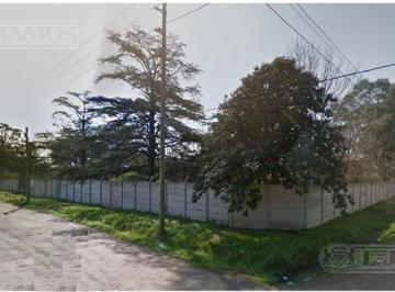 Terreno en esquina · Terreno Usos Múltiples, con Acceso Directo Desde Panamericana Km 36,5.