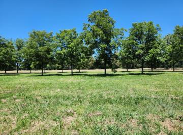 Terreno · 1550m² · 3 Lotes Internos en Los Alamos y Arroyito - Estancia Villa Maria