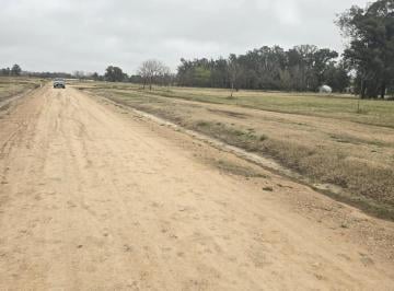 Terreno · 600m² · Terreno en Venta - 600 m² - Country El Paraíso, Guernica