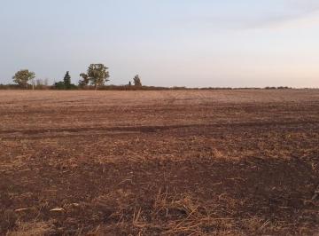 Campo · 880000m² · Campo a La Venta 88has en Maria Grande!