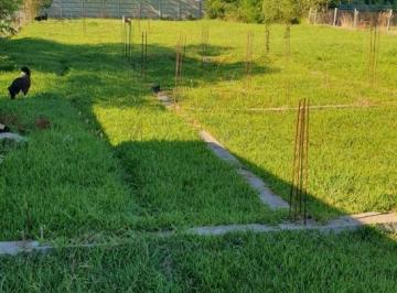 Terreno · 1235m² · Terreno en Venta