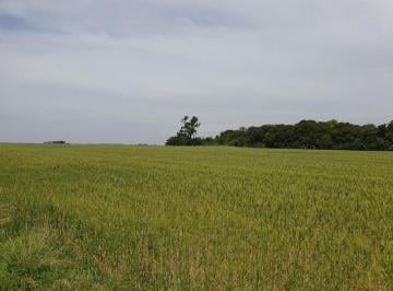 Campo · Se Vende Campo Agricola!