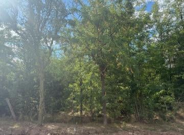 Terreno · 6012m² · Lote en San Huberto Nono con Derechos Posesorios