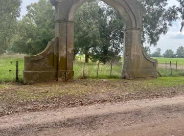 Terreno · 1m² · Terreno/ Chacra en Venta de 1.2 Ha en San Miguel del Monte