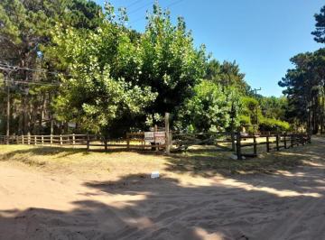 Terreno · Lote Barrio El Pinar