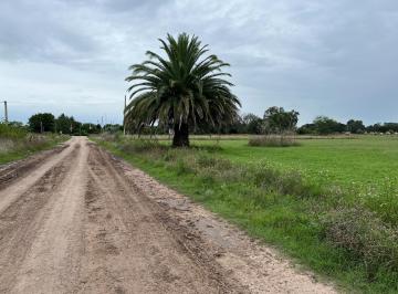 Terreno · 381m² · Lotes en Chascomus en Casco Urbano Ideal Inversion