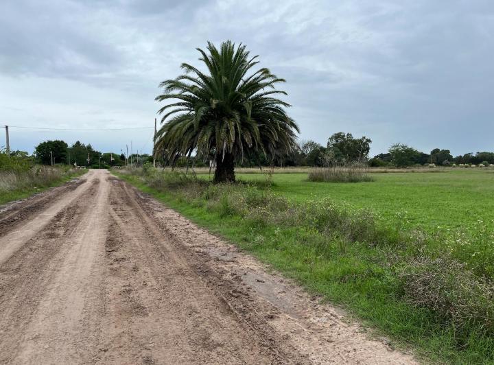Terreno · 381m²