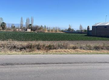 Terreno · 1201m² · Cocucci Vende Terreno en Kilometro 8