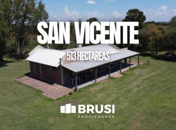 Campo · 5130000m² · Campo en Venta en San Vicente de 513 Ha
