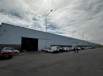 Bodega-Galpón · 4800m² · Nave en Alquiler de 4.800 m² Cubiertos en Mercado Central de Bs. As.