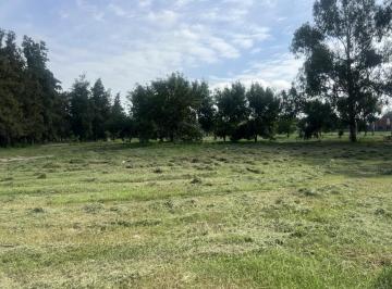 Terreno · 769m² · Terreno en Venta en Azzurra Tortugas, Alberti, Pilar