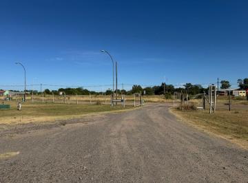 Bodega-Galpón · 5000m² · Predio de 5.000 m² con Galpón y Oficinas
