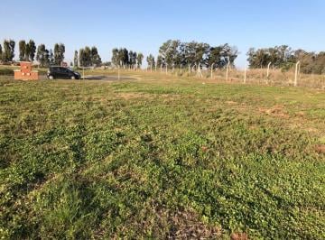 Terreno · 574m² · Venta Terreno, 574 m². Santa Lucia, Pilar del Este