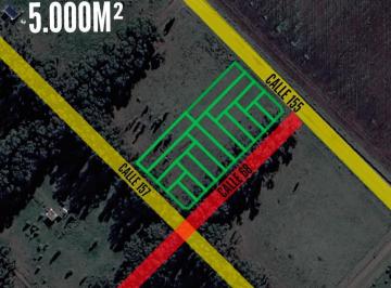 Terreno · 50000m² · Terrenos en Venta - 5.000 m² - Necochea