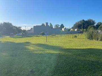 Terreno · 595m² · Lote / Terreno Calle Santa María Esq. Eucaliptus - Parquemar - Miramar