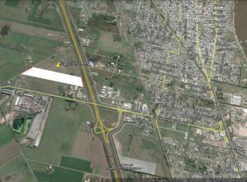 Terreno · 140000m² · Fraccion Aprobada Para Desarrollo de Parque Industrial, Comercial y Logístico - San Lorenzo