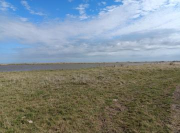 Campo , General Lavalle · Campo en Alquiler en General Lavalle - 330 Ha