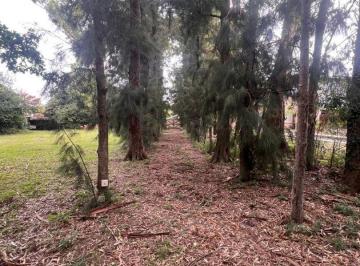 INB-INB-3603_2 · Lote. | Calle 365
