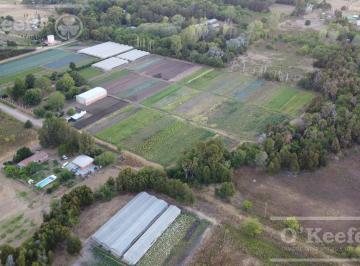 Campo · 18000m² · Chacra en Venta 1.8 Has en Abasto
