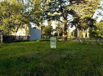 Terreno · 643m² · Terreno en Venta - 643 m² - Lomas de Petión