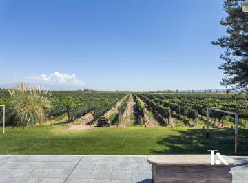 Campo · 754m² · 5 Ambientes · Finca Productiva en Ugarteche y Casa de Huespedes