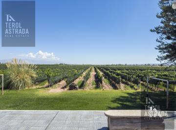 Campo · 754ha · 5 Ambientes · Finca Productiva en Ugarteche y Casa de Huespedes