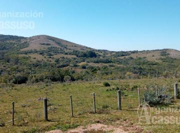 Campo · 350000ha · Chacra - 35 Hectáreas Camino Zanja del Tigre