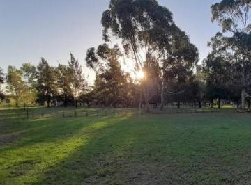 Terreno · 900m² · Terreno en Venta - 900 m² - Abasto, La Plata