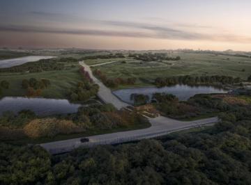 Campo · 30000m² · The Colette Farm