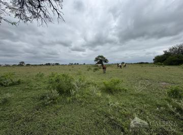 Terreno · 100000m² · Terreno en Venta Juarez Celman - 10 Hectáreas