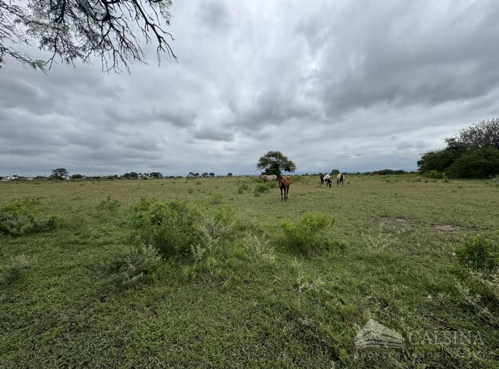 Terreno · 100000m²