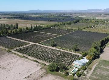 Campo · 100000m² · 5 Ambientes · Finca de 10 Ha con Hermosa Casa y Galpón en Cuadro Benegas