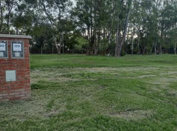 Terreno · 525m² · Terreno en Venta Barrio Santa Sofía, Pilar del Este