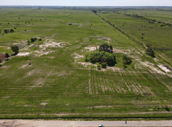 Campo · 999264m² · 1 Ambiente