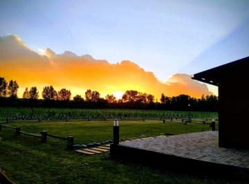 Campo · 150000m² · 4 Dormitorios · Finca en San Rafael, Mendoza