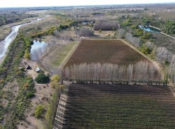 Campo · 150000m² · 4 Dormitorios · Finca en San Rafael, Mendoza