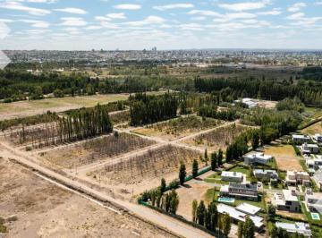 Terreno · 600m² · Venta Lote 600 m² - B° Los Alamos - Neuquén