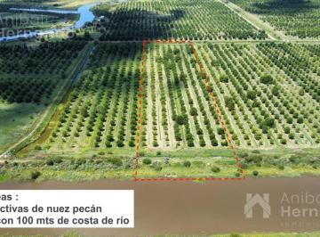 Campo · 50000m² · Chacra Campo Productivo en Venta en Alto Pecan Entre Rios