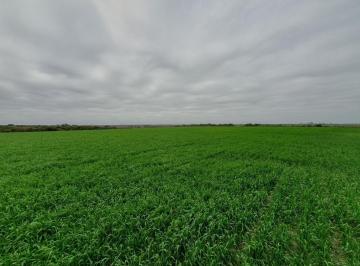 Campo · 480000m² · Campo en Venta 48 Has en La Paz