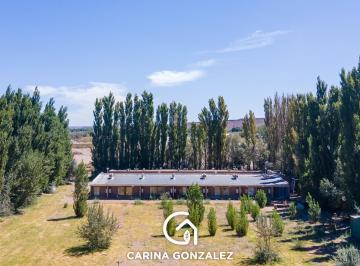 Departamento · 1 Dormitorio · Complejo Deptos Solares de Añelo