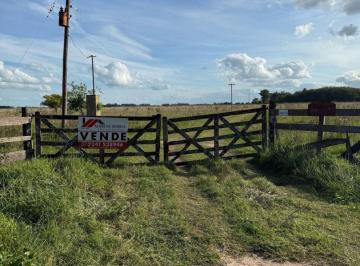 MBO-MBO-304_2 · Campo en Venta