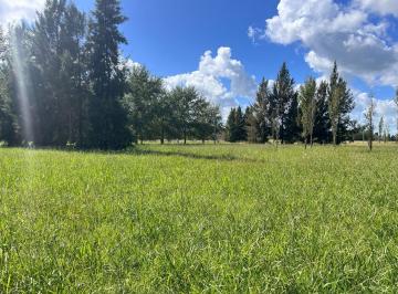 Terreno , Brandsen · Lote en Venta Ecobarrio "El Retiro"