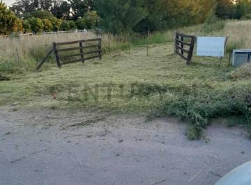 Campo · 15000m² · Parcela de 15.000 m² Frente a "Estancia Chica" con Servicios