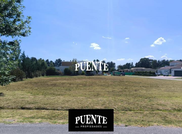 Terreno · 1235m²