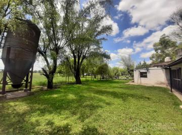 Campo · 40000m² · En Venta 3.9has - Virrey del Pino