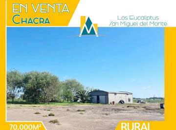 Campo · 70000m² · 4 Ambientes · Campo a La Venta en San Miguel del Monte