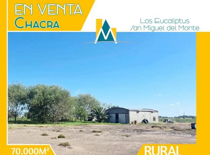 Campo · 70000m² · 4 Ambientes