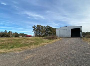 Bodega-Galpón · 130m² · 1 Ambiente · Depósito / Galpón, Compartido en Alquiler - San Antonio de Areco.