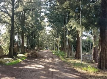 untitled · "Terreno en Venta: ¡Financiación Disponible!" #